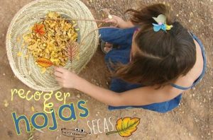el otoño tablero sensorial