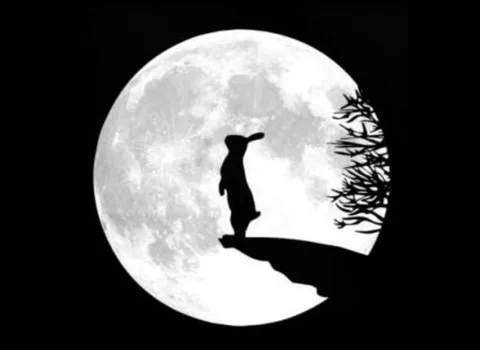 Cuento Infantil El Conejo y la Luna